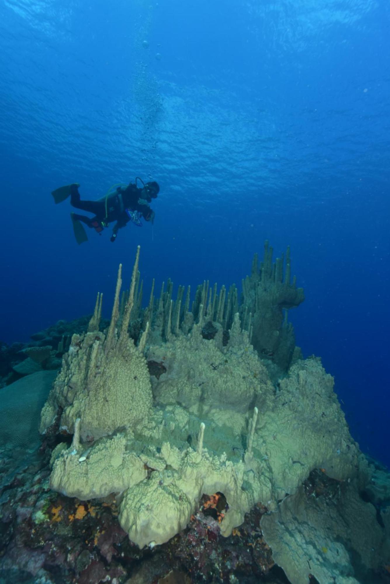 Island Hopper Otel Yepan Dış mekan fotoğraf