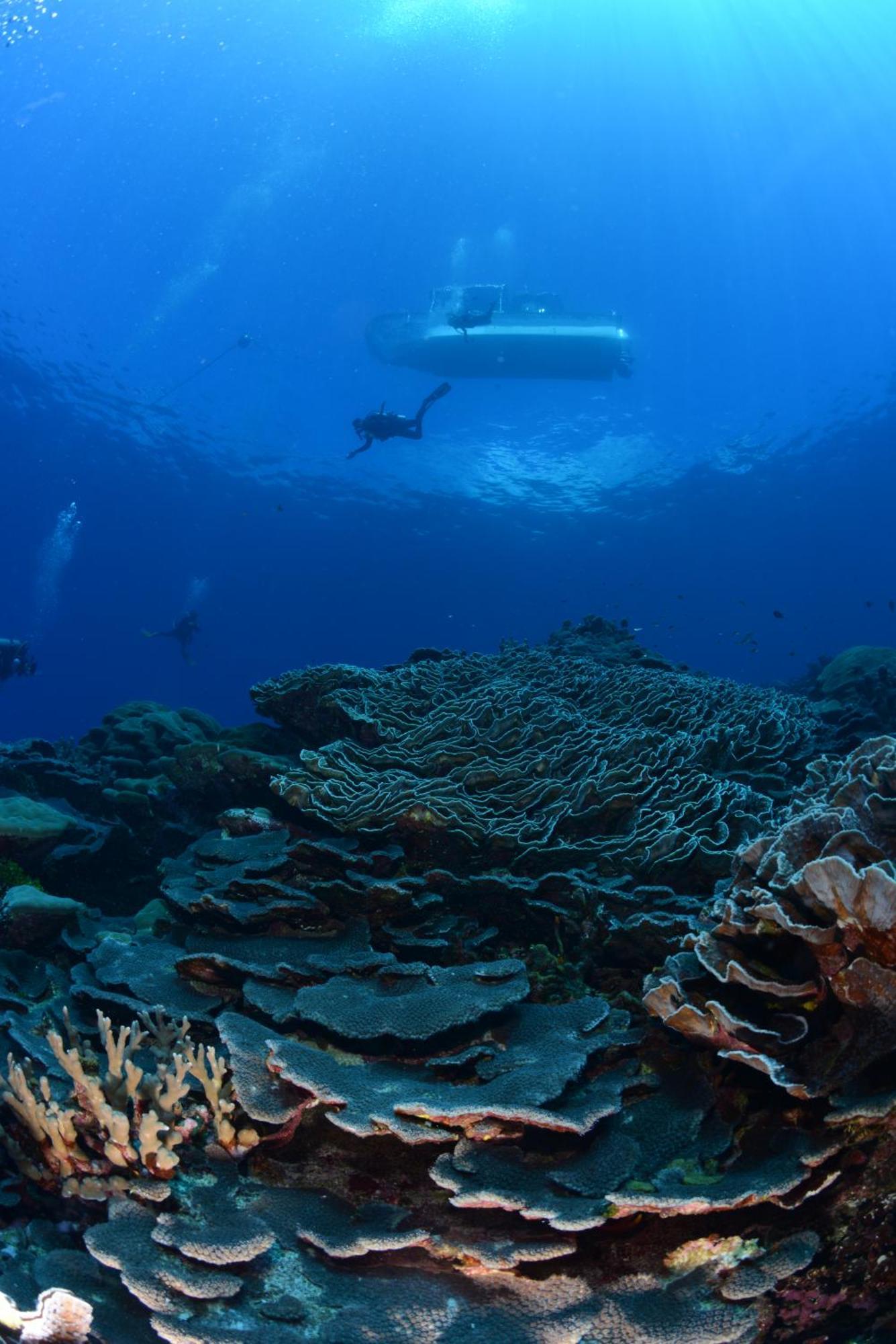 Island Hopper Otel Yepan Dış mekan fotoğraf